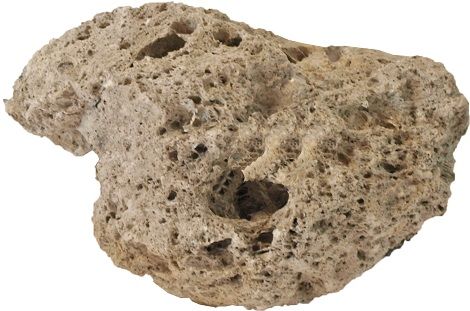 Aquarium wand steen met zuignap, 10-17 cm.