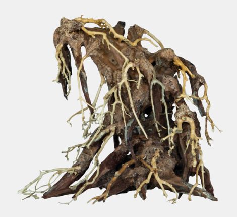 Bonsai root medium
