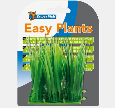easy plants carpet L 6cm