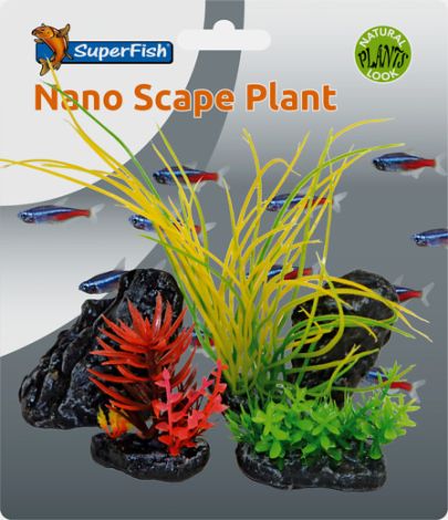 nano scape plant