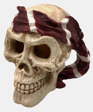SF skull red pirate